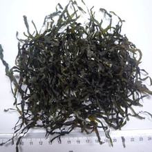 Machine Dried Cut Sea Kelp (seaweed, kombu, Laminaria)